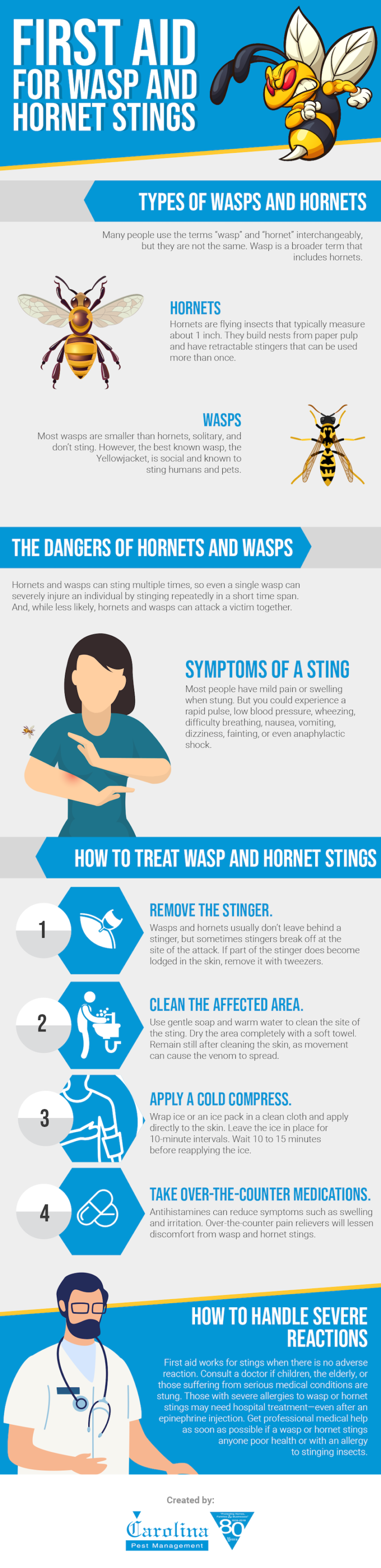 Carolina Pest | How to Protect Yourself from Wasps and Hornets in NC ...